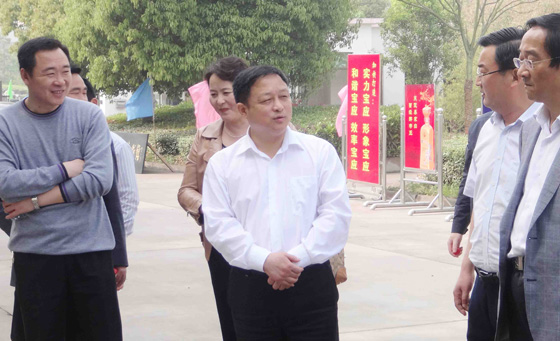 县领导一行莅临公司指导工作